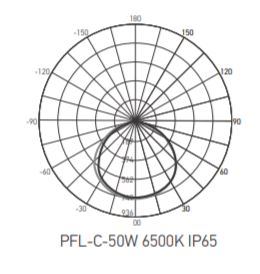 ��������� ������������� ����� LED ����������� PFL-�-100W 6500K IP65 Jazzway
