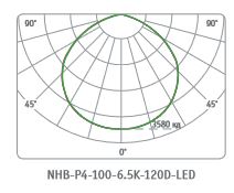 NHB-P4-100-6.5K-120D-LED  